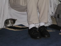 Thomas finding a place to hide behind Dad's feet!